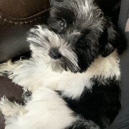  from Tuck’s Farmstead