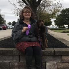 Dori - Field Spaniel