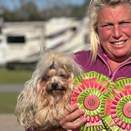 Boxers, Chow Chow, Parson Russell Terriers, and Russian Tsvetnaya Bolonkas from SouthFork Ranch