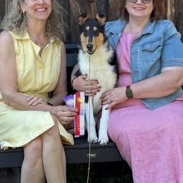 Berger Picards and Collies from Denby Berger Picards and Collies