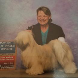 Missy - Lhasa Apso
