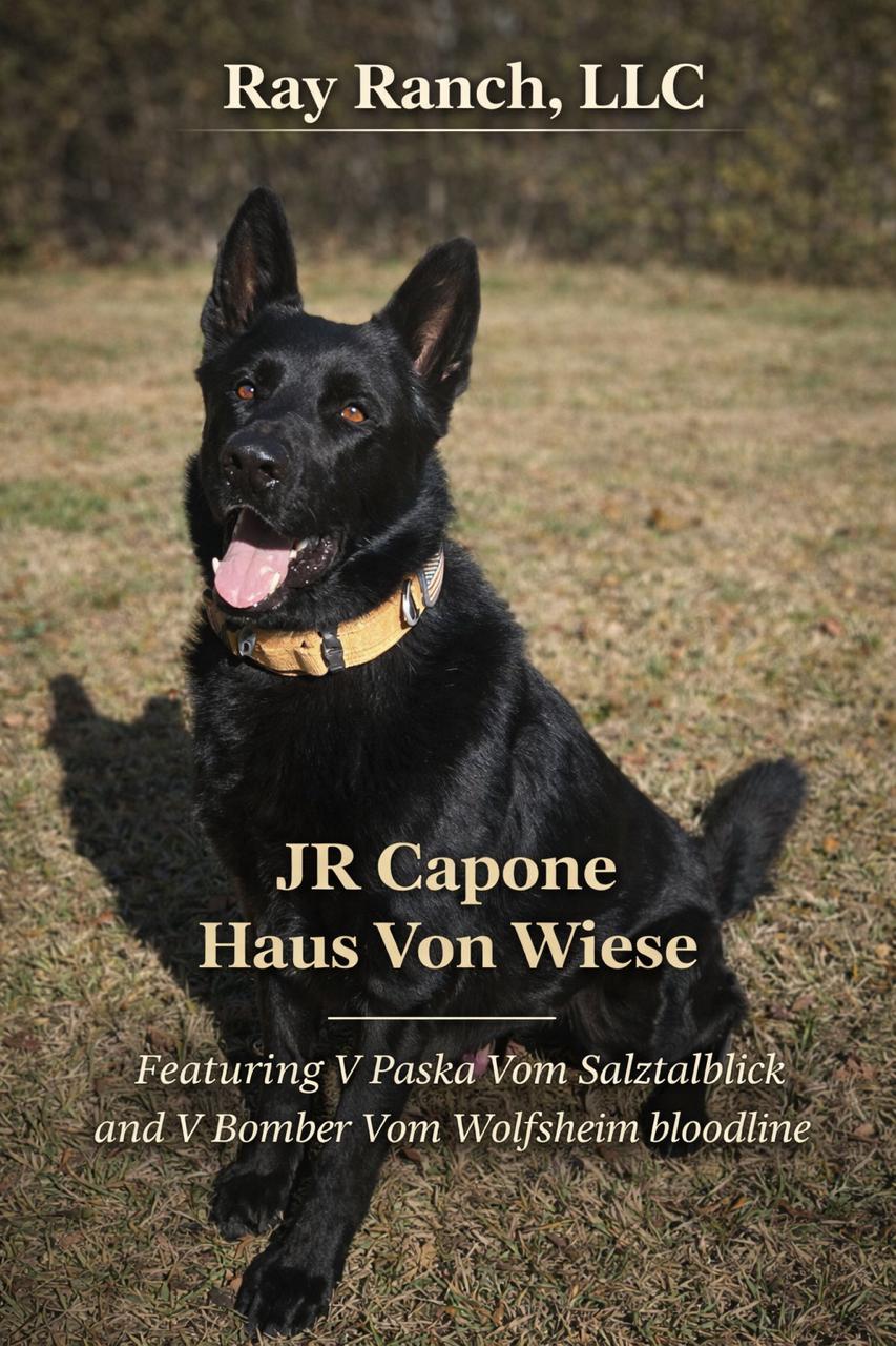 Capone