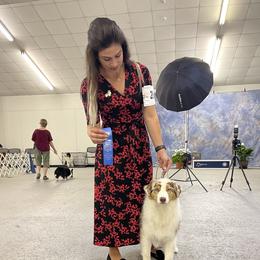 Nova  - Australian Shepherd