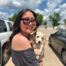 Luka (went home) - Cream male Dachshund puppy in Pauls Valley, Oklahoma from Simply Happy Dachshunds
