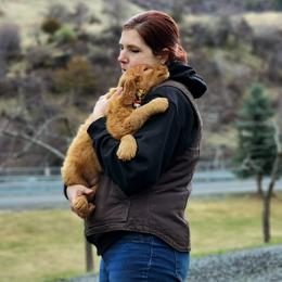 Goldendoodle and Newfoundland Puppies from Deep Canyon Puppies