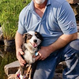 Rosie - Australian Shepherd