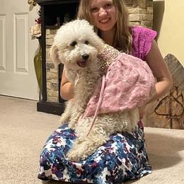 Blossom - Bernedoodle