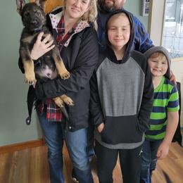 German Shepherd and Pembroke Welsh Corgi Puppies from J&R Shepherds & Corgis