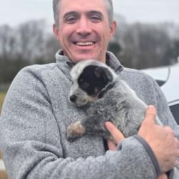 Boy 3 - Blue mottled male Australian Cattle Dog puppy in Monroe, North Carolina from Creek View Cattle Dogs
