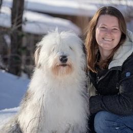 Golden Retrievers, Jack Russell Terriers, and Old English Sheepdogs from Saddle Rock Kennels