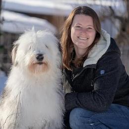Golden Retrievers, Jack Russell Terriers, and Old English Sheepdogs from Saddle Rock Kennels