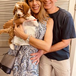 Goldendoodle Puppies from Labradoodleday