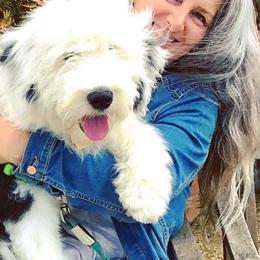 Old English Sheepdog Puppies from Ridgeruns OES