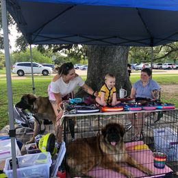 Leonberger Puppies from Magnolia Leos