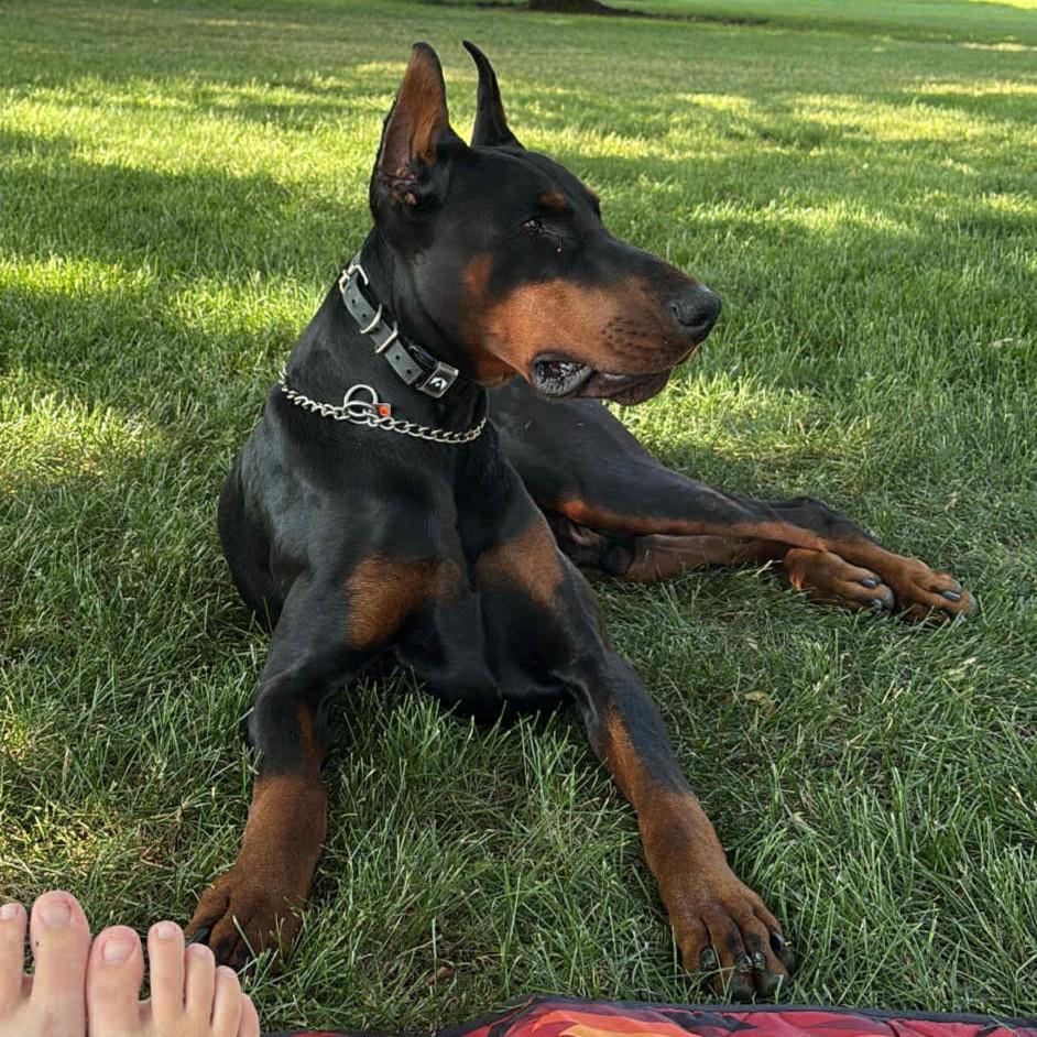 Kaiser