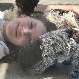 Lagotto Romagnolo Puppies from Anna’s Lagottos