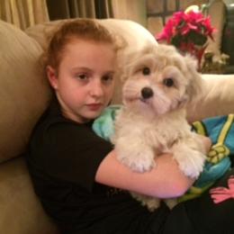 Havanese Puppies from EClair's Havanese and Westies
