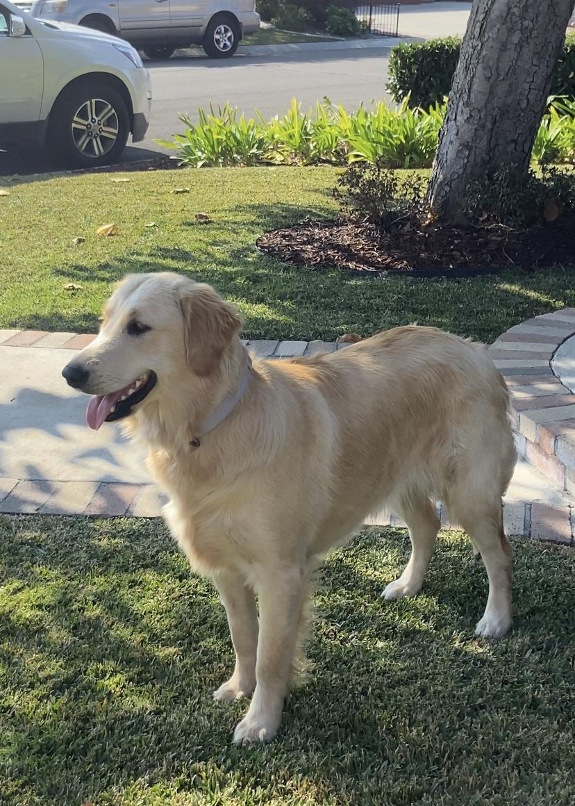 Shiloh