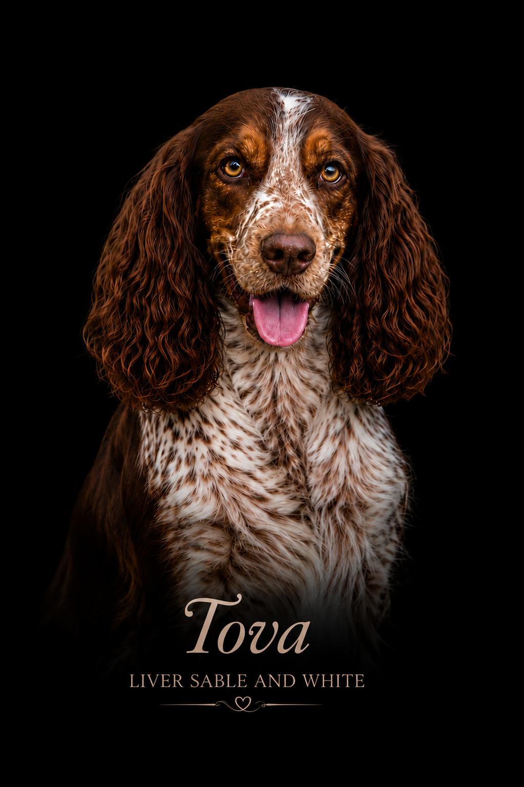 Tova