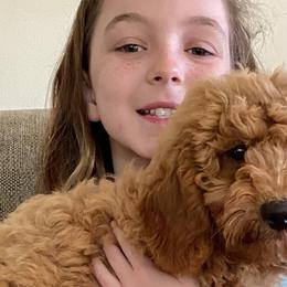 Boy 5 - Goldendoodle puppy in Newport, New York from Snuggle Me Doodles