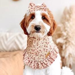 Summer - Goldendoodle