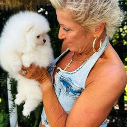 Pomeranian Puppies from Kouture Pomeranians