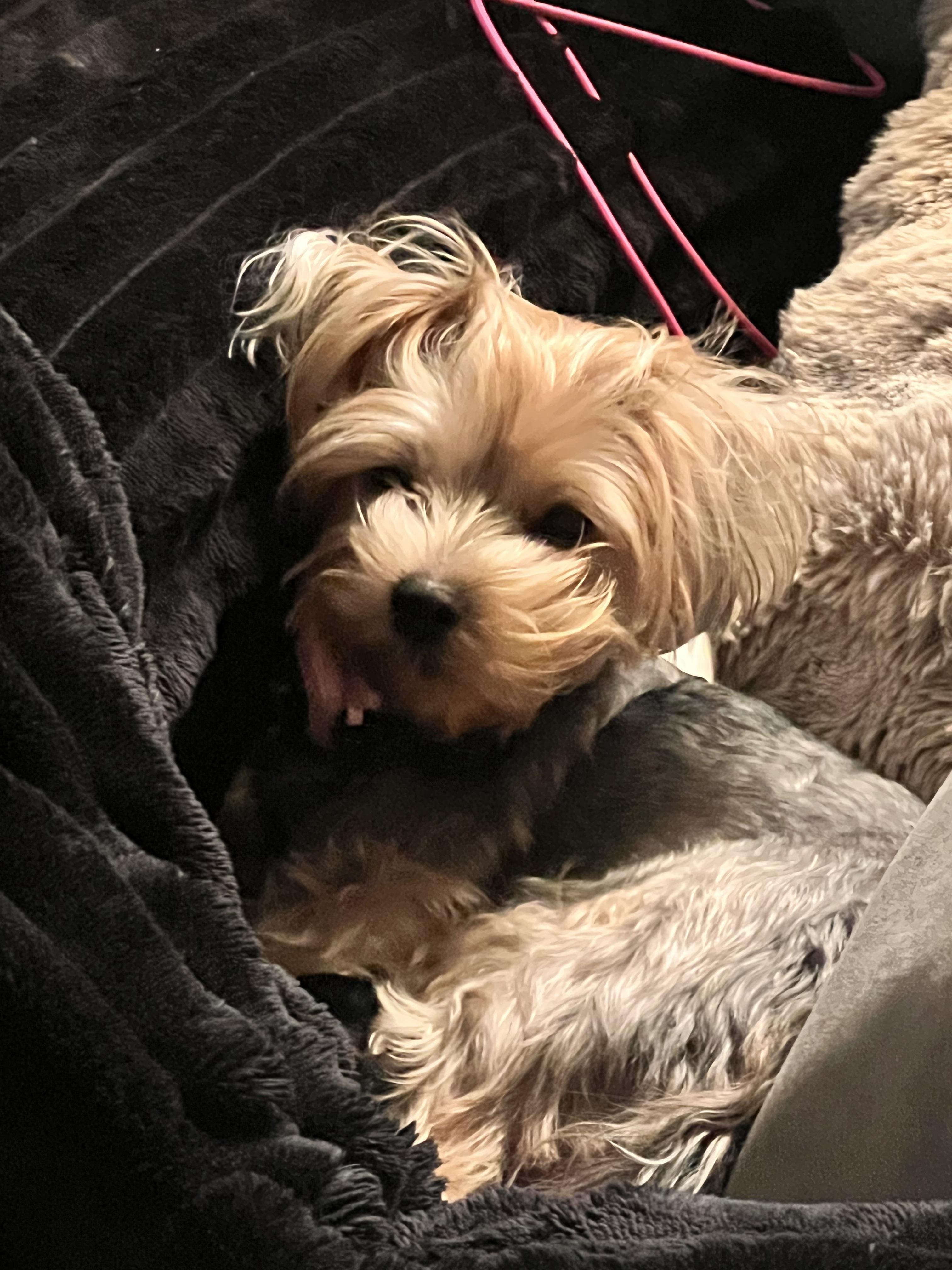 Mia