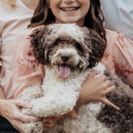 Jazzy - Labradoodle