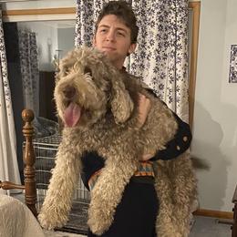 Double Doodles and Labradoodles from Molly’s Doodles