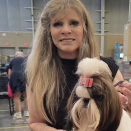 Shih Tzus from Southern Class Shih Tzu