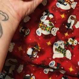 Dapple Boy - Dapple male Dachshund puppy in Onalaska, Washington from Divine Teckel Tails