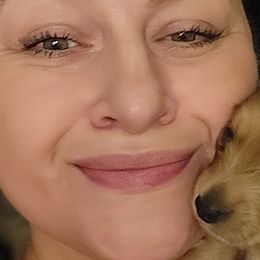 Dachshunds from Amber Doxies