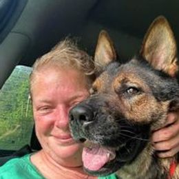 Boyce - German Shepherd