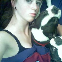 Boston Terrier and French Bulldog Puppies from Reds Studio