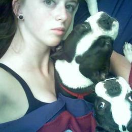 Boston Terrier and French Bulldog Puppies from Reds Studio