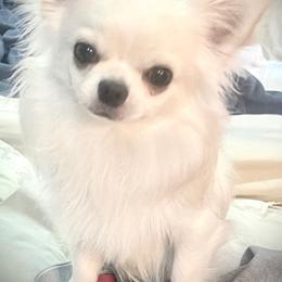 North - Chihuahua