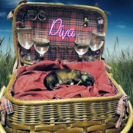 German Shepherd Puppies from Shepherd's Watch