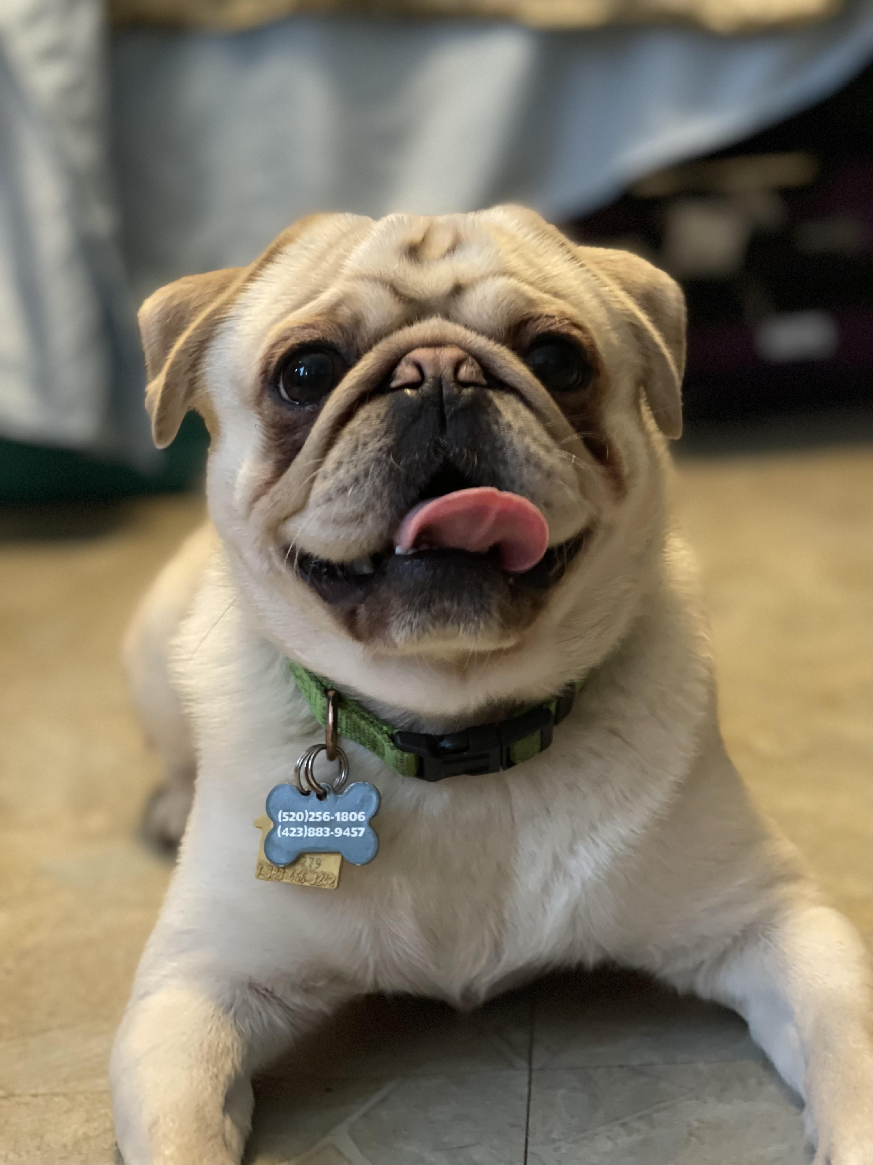 Yoda