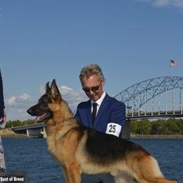 German Shepherds from Legend Shepherds