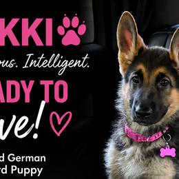 German Shepherds from Debra Grieco German Shepherds
