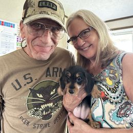 Dachshund Puppies from Bayou Dog Den