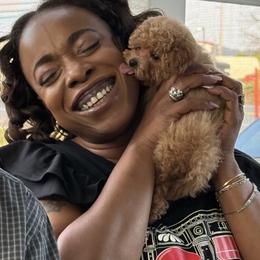 Poodle Puppies from KC Poodles of PA