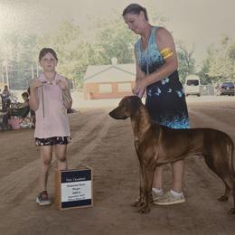 Winner - Rhodesian Ridgeback