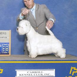 Juana - West Highland White Terrier
