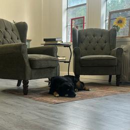 Miniature Australian Shepherd puppies from Triple J Aussies and Corgis