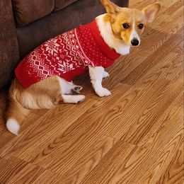 Pembroke Welsh Corgi Puppies from Jersey Shore Corgis