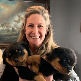 Rottweiler Puppies from Medieval Rottweilers