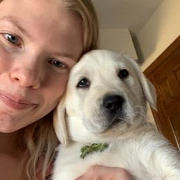 Labrador Retriever Puppies from Reniers Labrador Retrievers