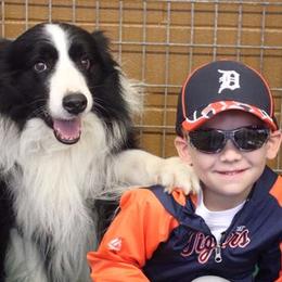 Border Collies from Covergaze Border Collies
