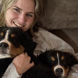 Bernese Mountain Dogs from Jena's Blissful Bernese Mountain Dogs